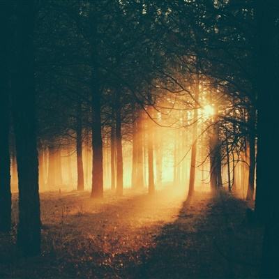 爱游戏全站APP入口苹果版手机app下载截图