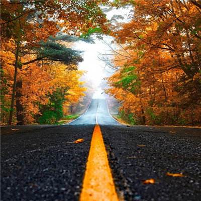 365体育官网入口