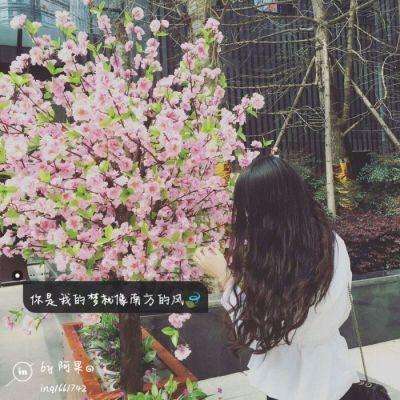 澳门天天免费资料大全下载